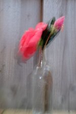DSCF5602.JPG