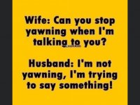 yawn.jpeg