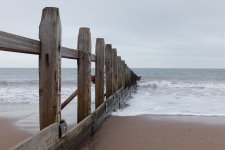 DSCF5618.JPG