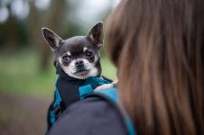 M9-Backpack - 003 of 003 - L1001078.jpg