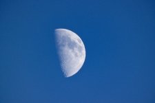 6EE4670C-F307-4CCC-AE42-F1C92803875F.jpeg 6EE4670C-F307-4CCC-AE42-F1C92803875F.jpeg