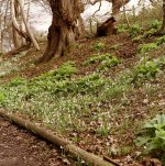 Warley  Place 02.jpg