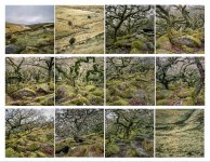 Bronica Contact Sheet from Wistman's Wood Portra 400.jpg