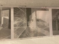 IMG_2004.jpeg