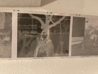 IMG_2002.jpeg