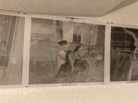 IMG_2001.jpeg