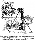 BG232 copy.png