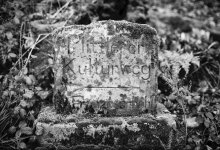 2022-01-00-00 (1).jpg