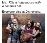 DISNEYLAND.jpg