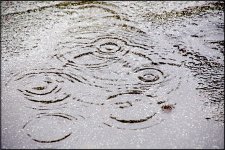 Raindrop ripples on flat roof A65 DSC03460.JPG Raindrop ripples on flat roof A65 DSC03460.JPG