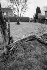 2022-02-20-acros-eos1v-36.jpg 2022-02-20-acros-eos1v-36.jpg