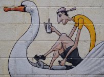 Swan Grafitti.jpg