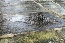 Damp_Reflection_Closeup.jpg
