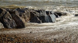 DSC_0260.JPG