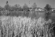 APX 400 510- Pyro Test 07.jpg