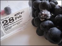 Sainsburys grapes mouldy 2 days before best by Ixus 70 IMG_4261.JPG