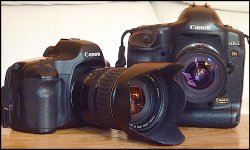 Canon 5D and 1Ds II TZ7 1020239.jpeg