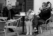 Man drinking bevarage with large dog Brixham 1Ds II 12CL8709.JPG