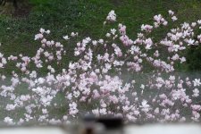 DSCF5741.JPG