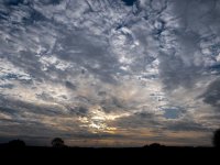 Cliddesden 2022-03-06-4.jpg