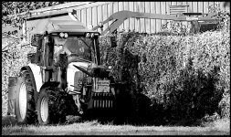 Hedge cutting in Belle Isle Park Exeter A65 DSC03232.JPG