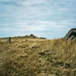 008 Gt Links Tor 06-66290012 PS Adj.JPG