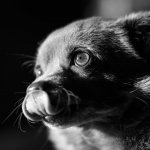 Yuffiebw - 001 of 001 - A1108559.jpg