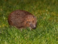 25 03 22 (1).jpg