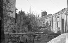 Small half plate no lines.jpg