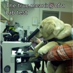 lab-test.jpg