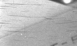 foma-scratches.jpg foma-scratches.jpg