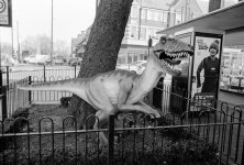 Jessops 510-Pyro 11.jpg