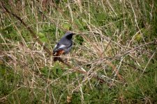 20220402-BCR_6625-week14.jpg