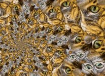 WEEK 14 - UNUSUAL.jpg