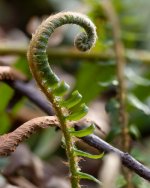 smaller-4.jpg