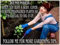remember-esdangered-plants-illegal-digit-follow-gardening-be5d42509c11385d-cb9a6bf73cb052c2.jpg