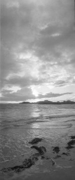 Untitled-20 copy.jpg