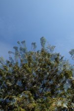 DSCF5833.JPG