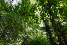 DSCF5834.JPG