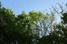 DSCF5839.JPG