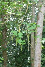DSCF5838.JPG