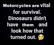 Screen Shot 2022-04-08 at 2.54.44 PM.jpg