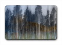 Week 16 - Trees.jpg