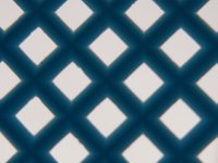DSCF5861.JPG