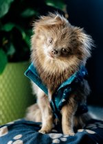 Cayman - 1 of 1 - A1104779.jpg