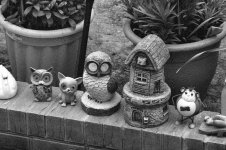 3200 in 510-Pyro test 400 ASA.jpg