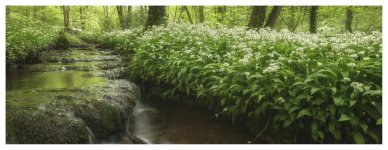 Low down dirty and stinking _1037200.jpg