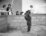 1681_010 copyJPEG5.jpg