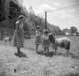 1681_011 copyJPEG5.jpg