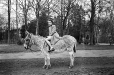 1682_002 copyJPEG5.jpg